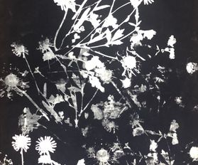 Flowers, 40 x 80 cm, screenprinting on linen, 2018
